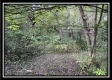 Tract 6 - The Woods at Ridgeview property photo