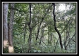 Tract 6 - The Woods at Ridgeview property photo