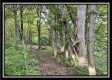 Tract 6 - The Woods at Ridgeview property photo