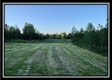 Tract 6 - The Woods at Ridgeview property photo
