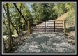 More of Tract 13 - The Woods at Blue Rock