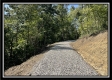 More of Tract 13 - The Woods at Blue Rock