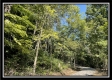 More of Tract 13 - The Woods at Blue Rock