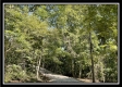 More of Tract 13 - The Woods at Blue Rock