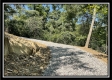 Tract 13 - The Woods at Blue Rock property photo