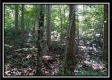 Black Run property photo