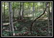 Black Run property photo