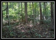 Black Run property photo