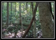 Black Run property photo