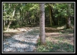 Black Run property photo