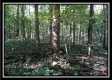 Black Run property photo