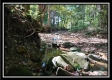 More of Black Run