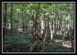 Black Run property photo