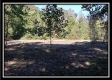 Black Run property photo
