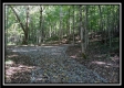 More of Black Run