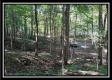 Black Run property photo