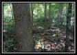 Black Run property photo