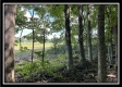 554 Dent Rd property photo