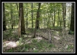 554 Dent Rd property photo
