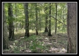 554 Dent Rd property photo