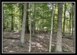 More of 554 Dent Rd