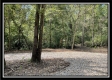 Tract 14 - The Woods at Blue Rock property photo