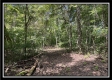 Tract 14 - The Woods at Blue Rock property photo