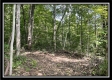 Tract 14 - The Woods at Blue Rock property photo