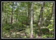 Tract 14 - The Woods at Blue Rock property photo