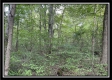 Tract 14 - The Woods at Blue Rock property photo