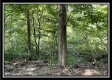 Tract 14 - The Woods at Blue Rock property photo
