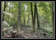 Tract 14 - The Woods at Blue Rock property photo