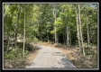 More of Tract 14 - The Woods at Blue Rock