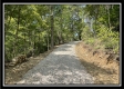 More of Tract 14 - The Woods at Blue Rock