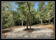 Tract 14 - The Woods at Blue Rock property photo