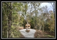 Wilderness Lodge at Blue Rock property photo