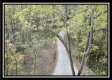 Wilderness Lodge at Blue Rock property photo