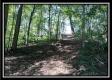 Tract 2 - Bohemian Woods property photo