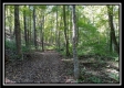Tract 2 - Bohemian Woods property photo
