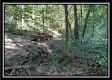 Tract 2 - Bohemian Woods property photo