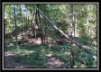 Tract 2 - Bohemian Woods property photo