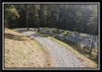 Tract 2 - Bohemian Woods property photo