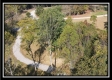 Tract 2 - Bohemian Woods property photo