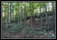 Tract 2 - Bohemian Woods property photo