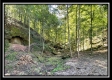 The Caves at Bohemian Woods property photo