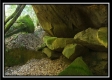 The Caves at Bohemian Woods property photo