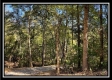 The Caves at Bohemian Woods property photo