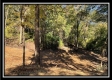 The Caves at Bohemian Woods property photo