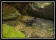 The Caves at Bohemian Woods property photo