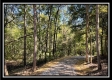 The Caves at Bohemian Woods property photo